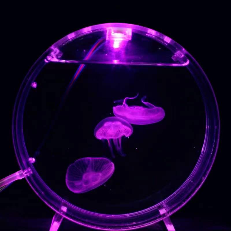 Aquarium Fish In Bowl - Aquarium เดสก์ท็อปถังแมงกะพรุนปลาดาวมินิ Dream โคมไฟ Bubble Oxygen