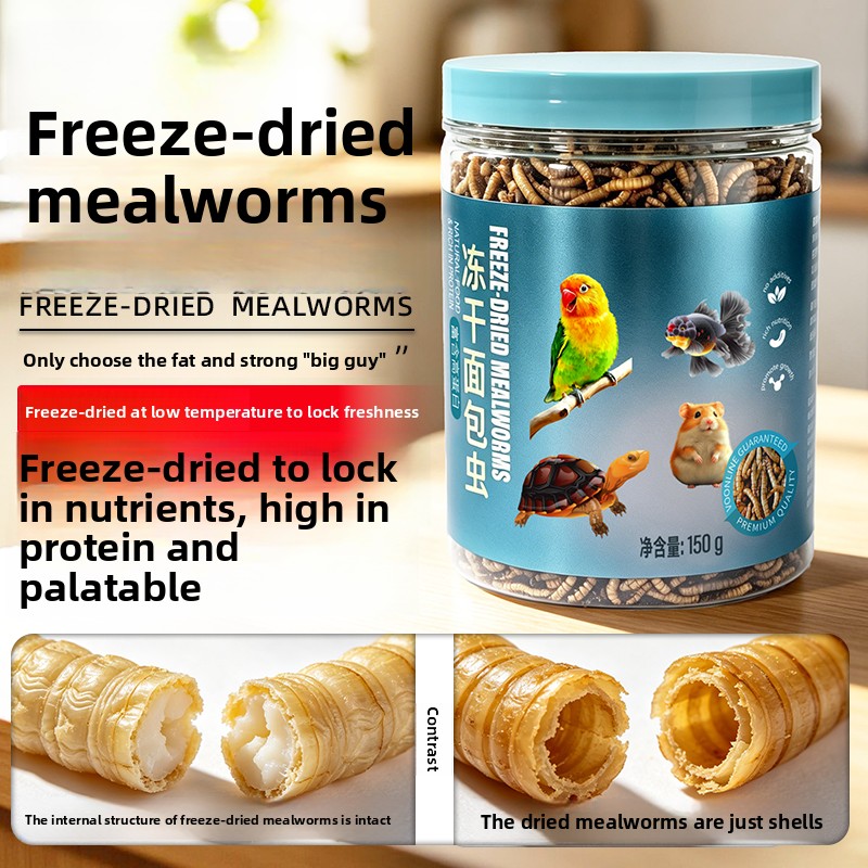 Aquarium Fish Food - อาหารหนอนแห้งแช่แข็ง VOONLINE สำหรับปลาและเต่า, อาหารโปรตีนสูงจากธรรมชาติสำหรับปลาและเต่าในตู้ปลา, ช่วยเพิ่มสีสัน