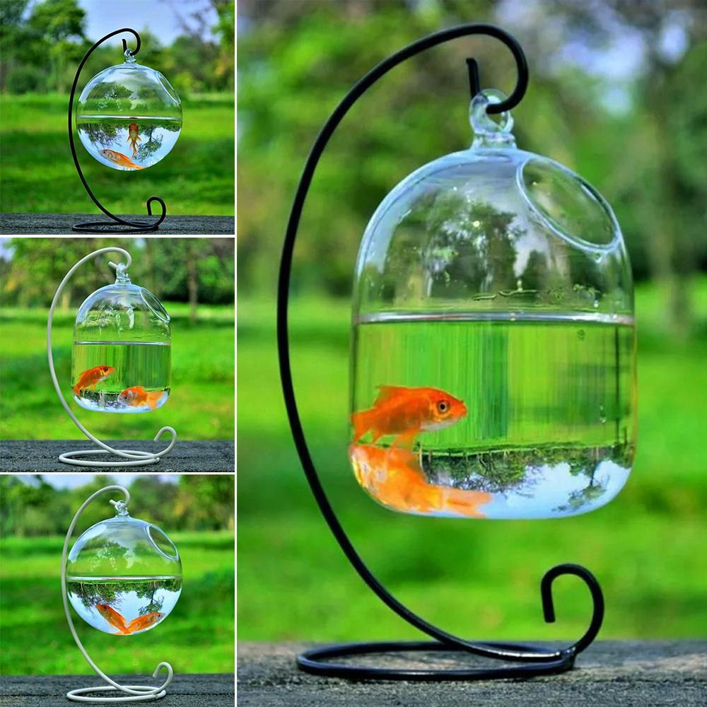 Aquarium Fish In Bowl - ของตกแต่งตู้ปลาแบบแขวนผนัง พร้อมชั้นวางของตกแต่งบ้าน ตู้ปลา แจกัน ของประดับตกแต่ง แจกันแก้วแขวนผนัง