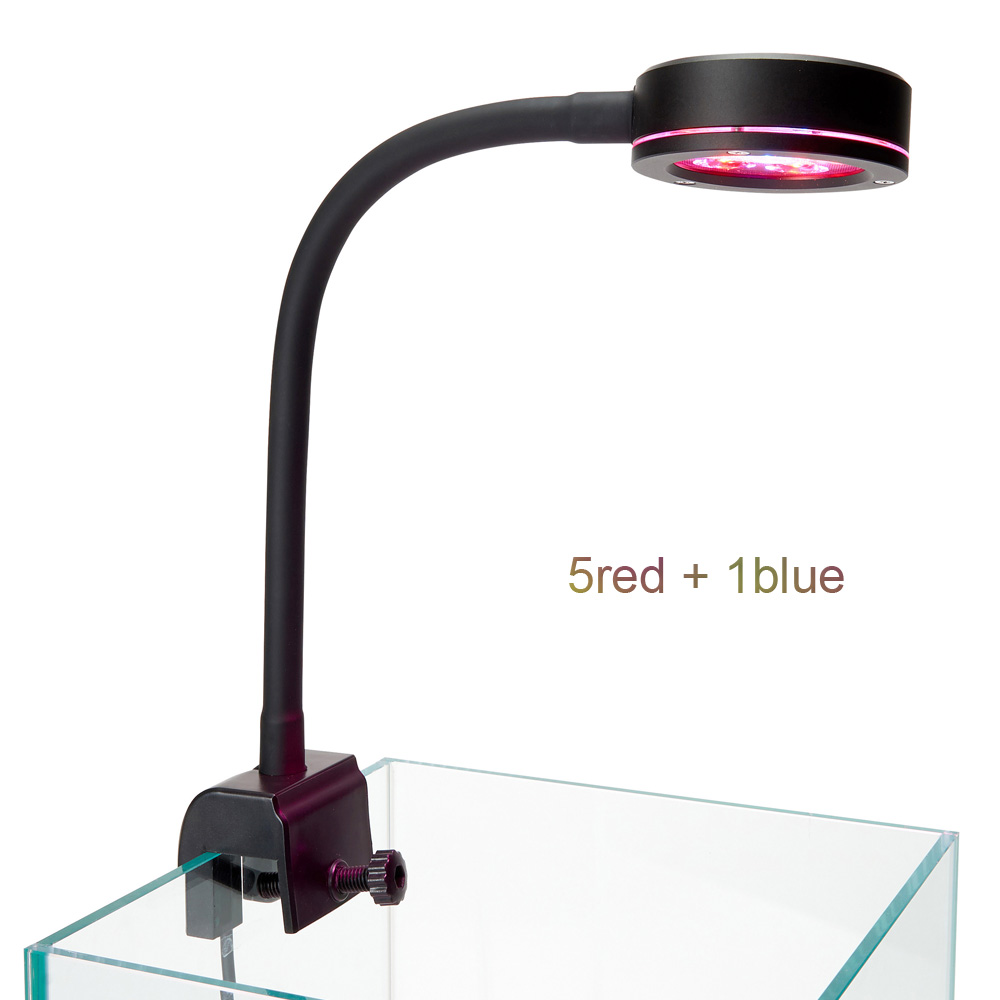 Refugium Light Nano - ใหม่โคมไฟตู้ปลานาโน6X3W Pico สำหรับ aglae ไฟ LED
