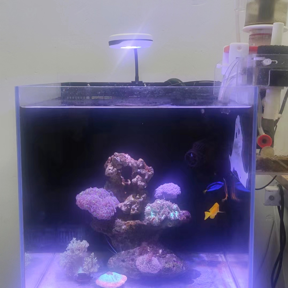 ไฟสเปคตร้า 20W นาโน คลิปออน รี - Refugium Light Nano บทวิจารณ์และราคา