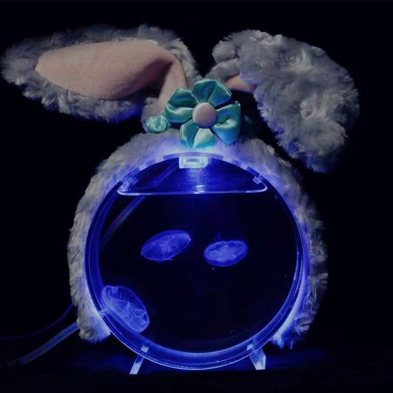 Aquarium เดสก์ท็อปถังแมงกะพรุน - Aquarium Fish In Bowl บทวิจารณ์และราคา