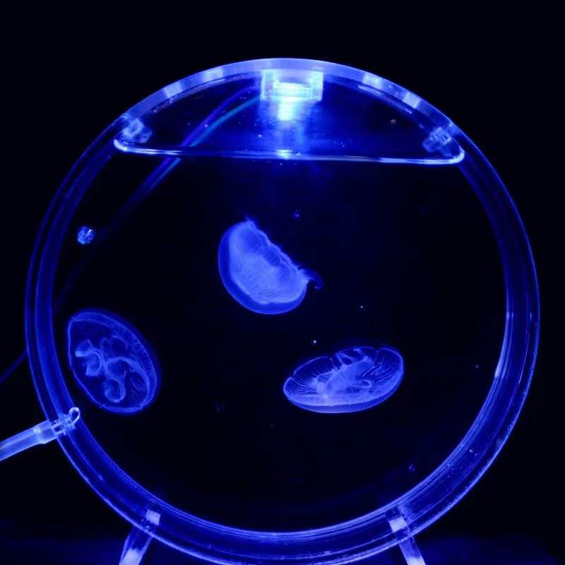 Aquarium เดสก์ท็อปถังแมงกะพรุน - Aquarium Fish In Bowl บทวิจารณ์และราคา