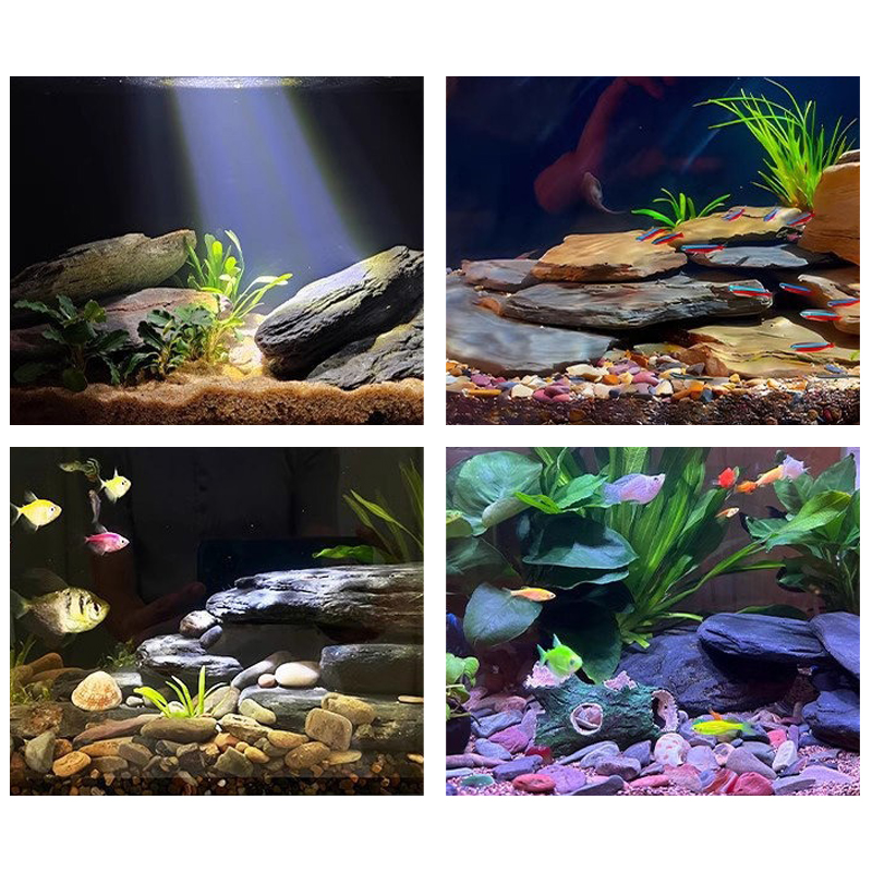 ชุดหินตกแต่งตู้ปลา 500/1000 กร - Aquarium Fish Bowl บทวิจารณ์และราคา