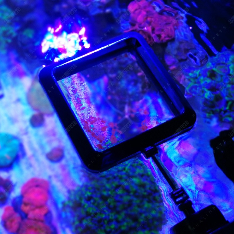 แหวนให้อาหารแม่เหล็ก VASTOCEAN - Aquarium Fish Food บทวิจารณ์และราคา