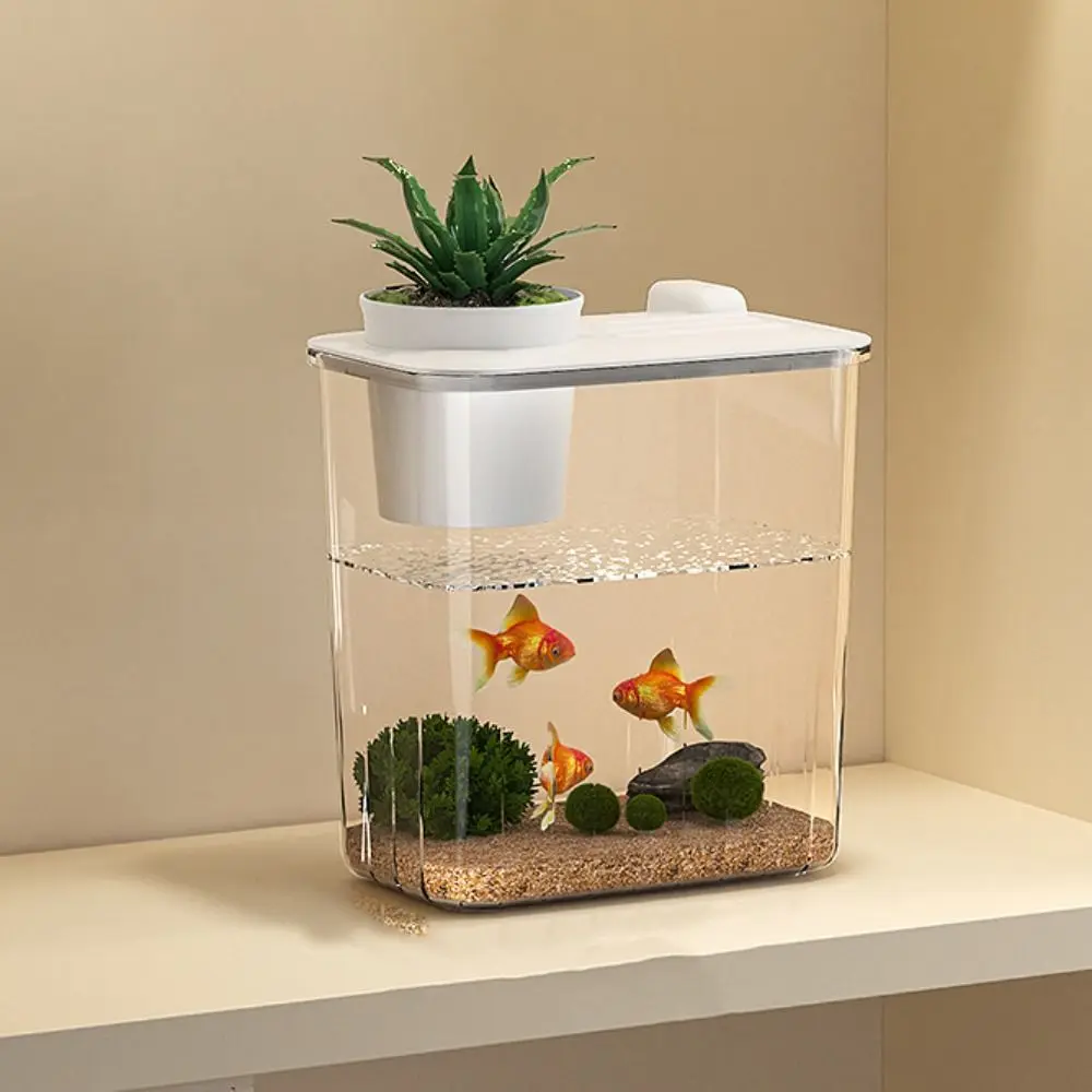 ตู้ปลาตั้งโต๊ะพร้อมปั๊มน้ำ  ตั - Aquarium Fish In Bowl บทวิจารณ์และราคา