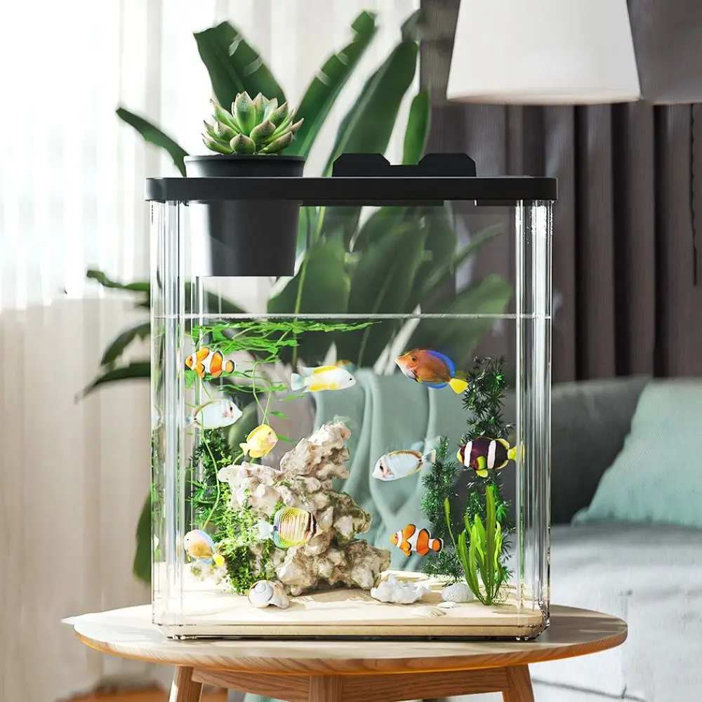 ตู้ปลาตั้งโต๊ะพร้อมปั๊มน้ำ  ตั - Aquarium Fish In Bowl บทวิจารณ์และราคา