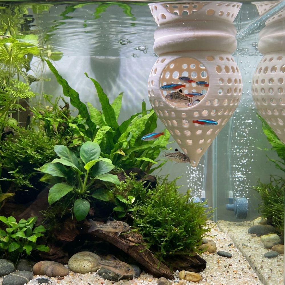 ที่นอนปลาแบบลอยน้ำพิมพ์ 3 มิติ - Aquarium Fish Food บทวิจารณ์และราคา