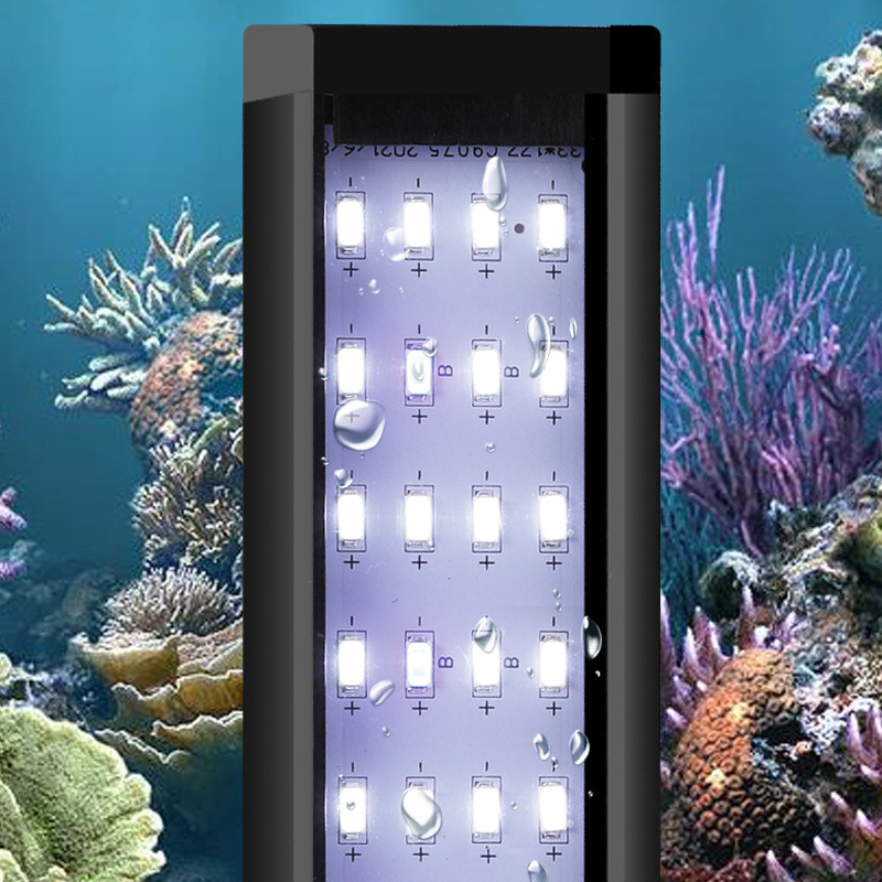 ไฟ LED สำหรับตู้ปลาแบบมืออาชีพ - Aquarium Fish Photography บทวิจารณ์และราคา