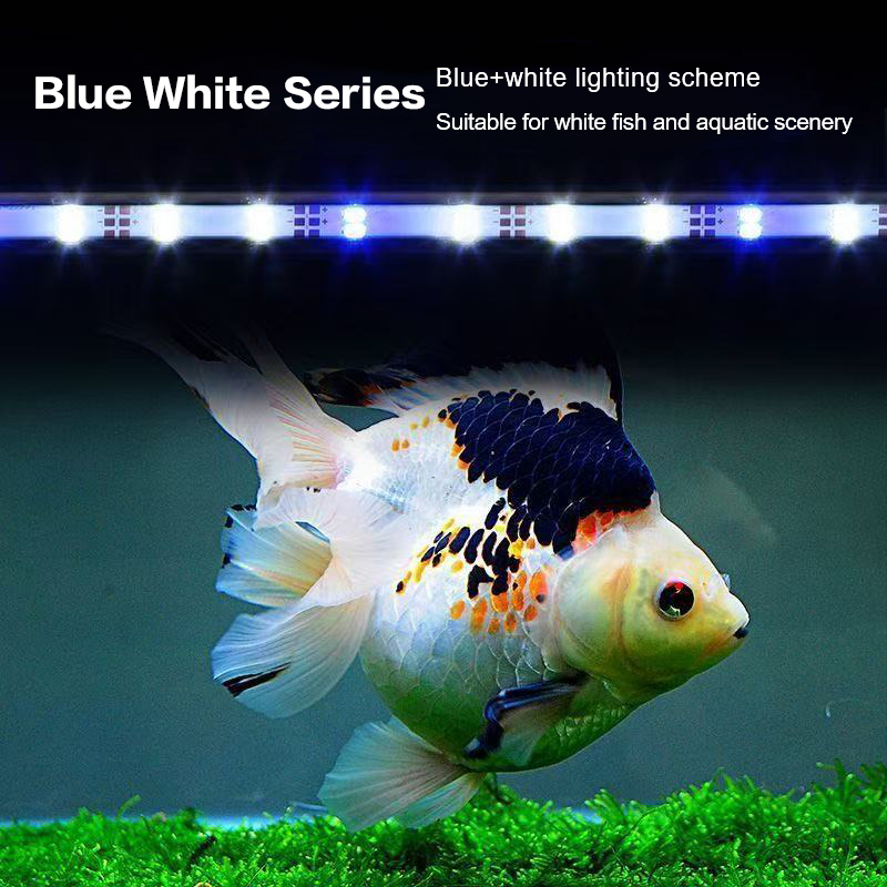 ไฟ LED สำหรับตู้ปลาแบบเสียบ US - Aquarium Fish Photography บทวิจารณ์และราคา