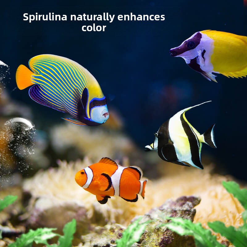 อาหารปลาดุกและปลาทัง DEERA |   - Aquarium Fish Food บทวิจารณ์และราคา