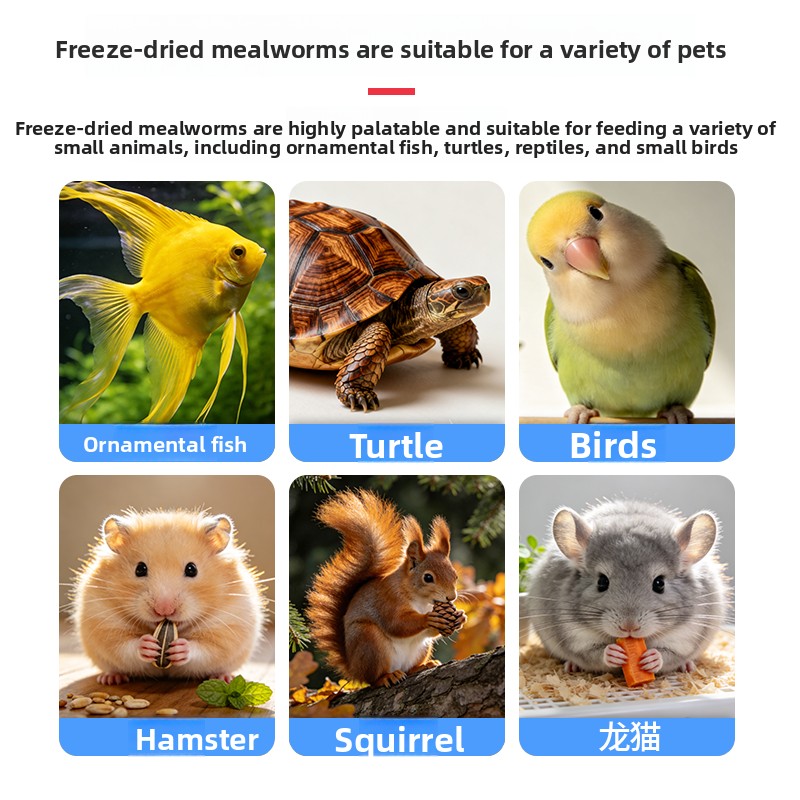 อาหารหนอนแห้งแช่แข็ง VOONLINE  - Aquarium Fish Food บทวิจารณ์และราคา