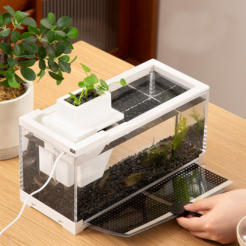 ชุดตู้ปลาพร้อมปั๊มน้ำ แผ่นทำคว - Aquarium Fish In Bowl บทวิจารณ์และราคา