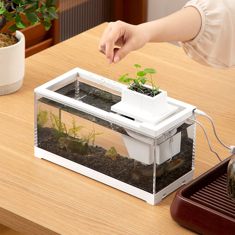 ชุดตู้ปลาพร้อมปั๊มน้ำ แผ่นทำคว - Aquarium Fish In Bowl บทวิจารณ์และราคา
