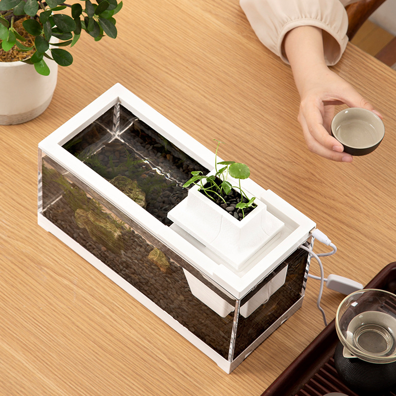 ชุดตู้ปลาพร้อมปั๊มน้ำ แผ่นทำคว - Aquarium Fish In Bowl บทวิจารณ์และราคา