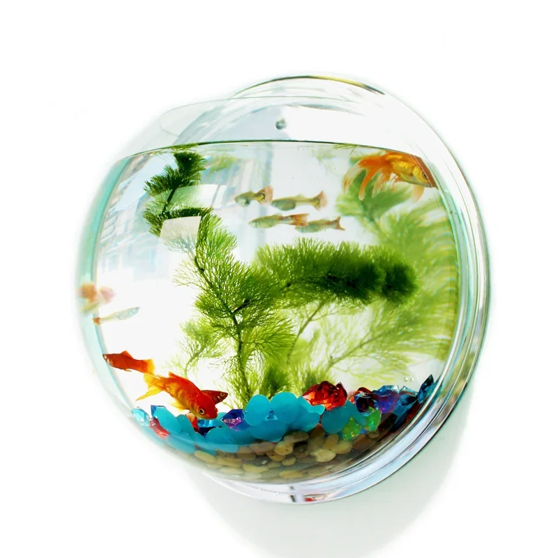 Pinsjar อะคริลิคชามปลาแขวนผนัง - Aquarium Fish In Bowl บทวิจารณ์และราคา
