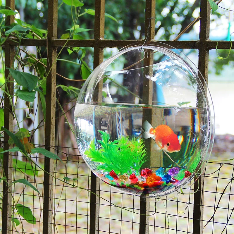 Pinsjar อะคริลิคชามปลาแขวนผนัง - Aquarium Fish In Bowl บทวิจารณ์และราคา