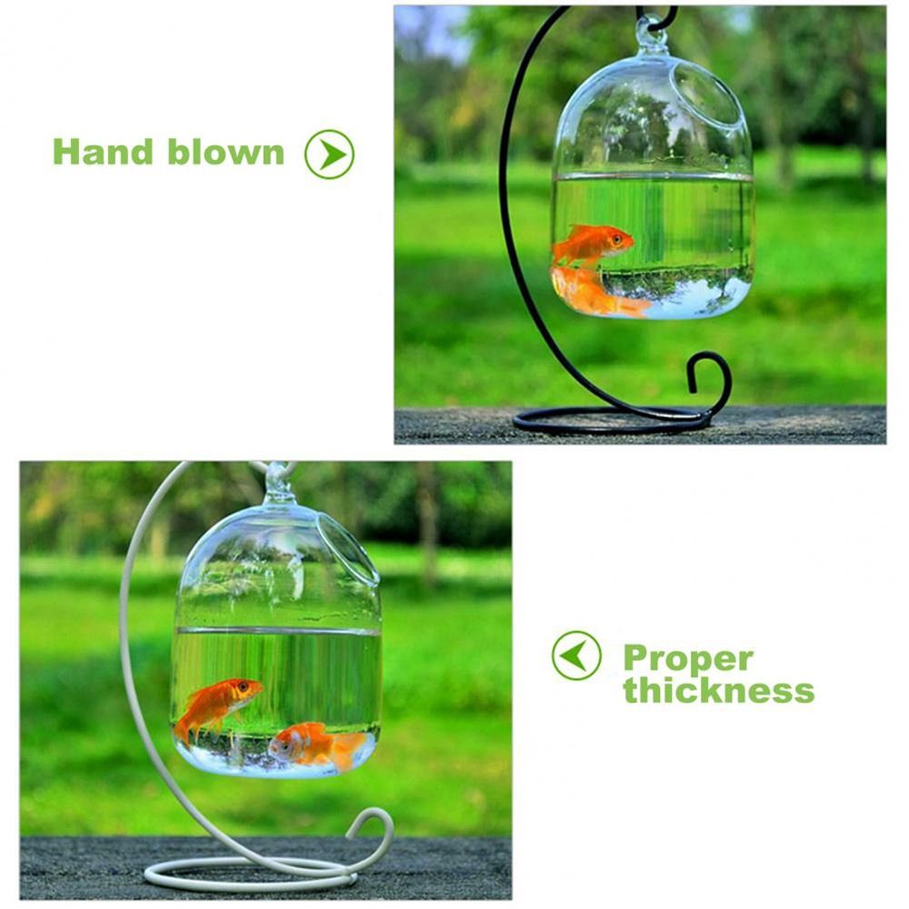 ของตกแต่งตู้ปลาแบบแขวนผนัง พร้ - Aquarium Fish In Bowl บทวิจารณ์และราคา