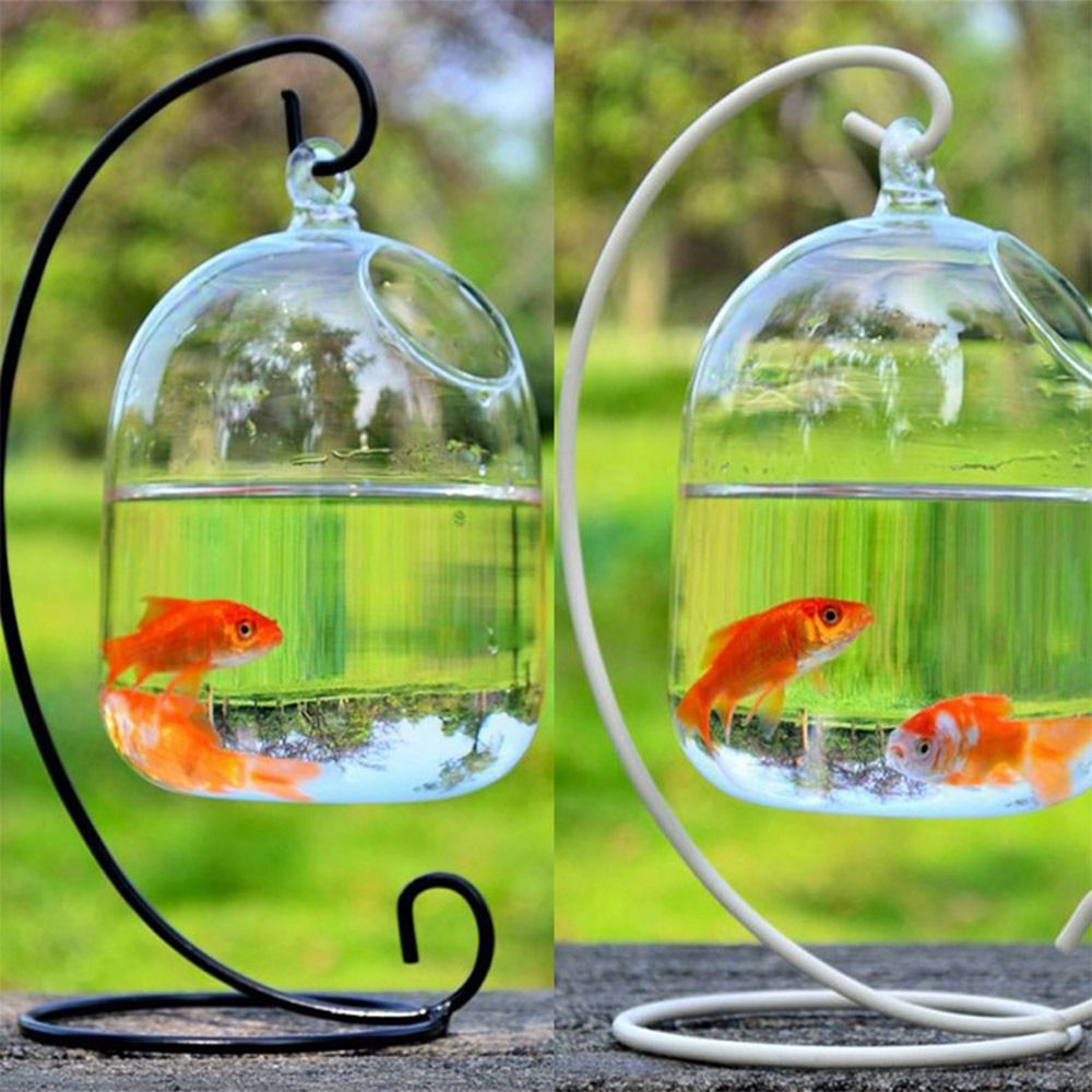 ของตกแต่งตู้ปลาแบบแขวนผนัง พร้ - Aquarium Fish In Bowl บทวิจารณ์และราคา