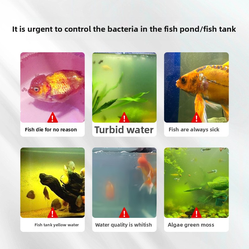 เกลือสำหรับตู้ปลา HUACHU สำหรั - Aquarium Fish Freshwater บทวิจารณ์และราคา