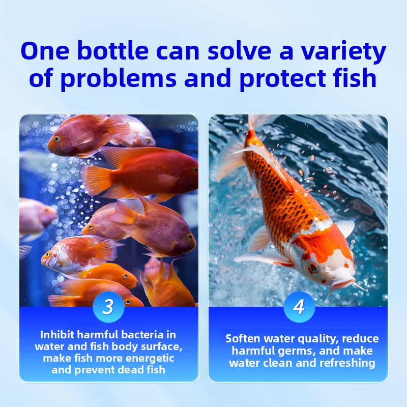 เกลือสำหรับตู้ปลา HUACHU สำหรั - Aquarium Fish Freshwater บทวิจารณ์และราคา