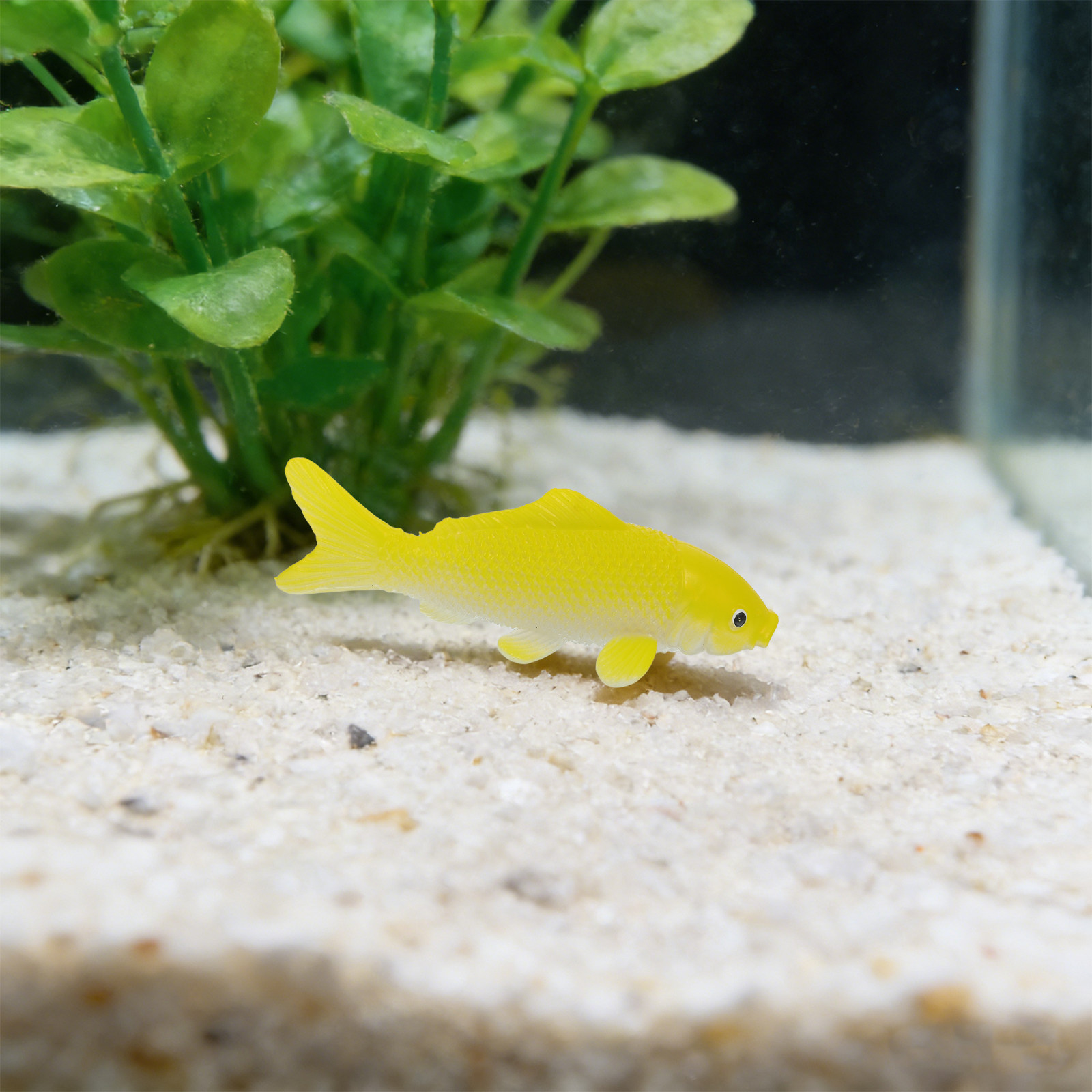 ของเล่นปลาประดิษฐ์ 3 ชิ้น รูปป - Fish Aquarium Home บทวิจารณ์และราคา
