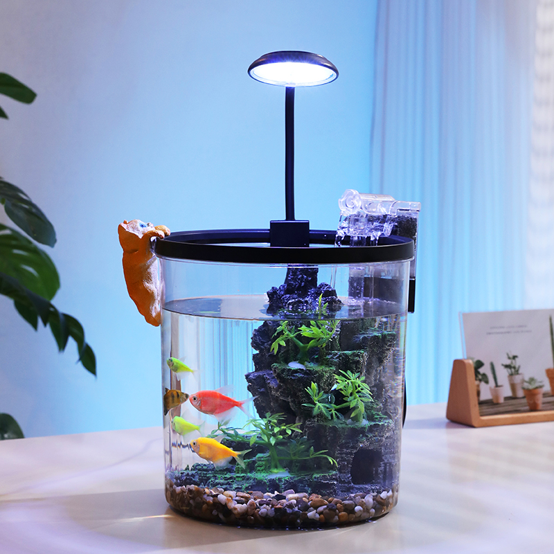 ตู้ปลาทรงกลมขนาดเล็กสีทอง - ระ - Aquarium Fish In Bowl บทวิจารณ์และราคา