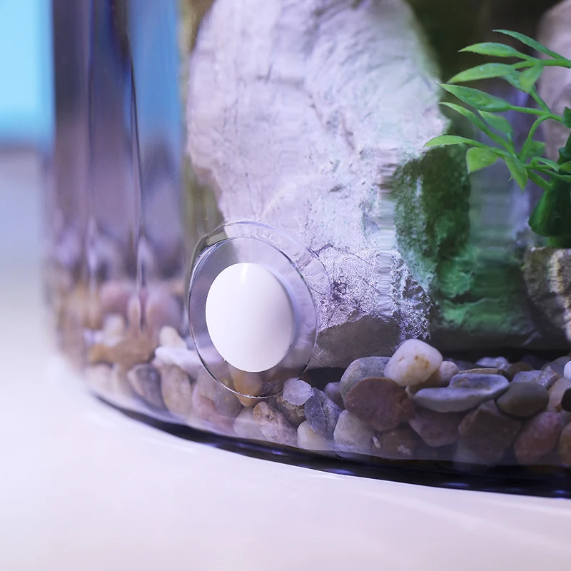 ตู้ปลาทรงกลมขนาดเล็กสีทอง - ระ - Aquarium Fish In Bowl บทวิจารณ์และราคา