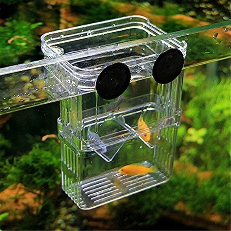 กล่องเพาะพันธุ์ปลาแบบสองชั้นพิ - Aquarium Fish In Bowl บทวิจารณ์และราคา