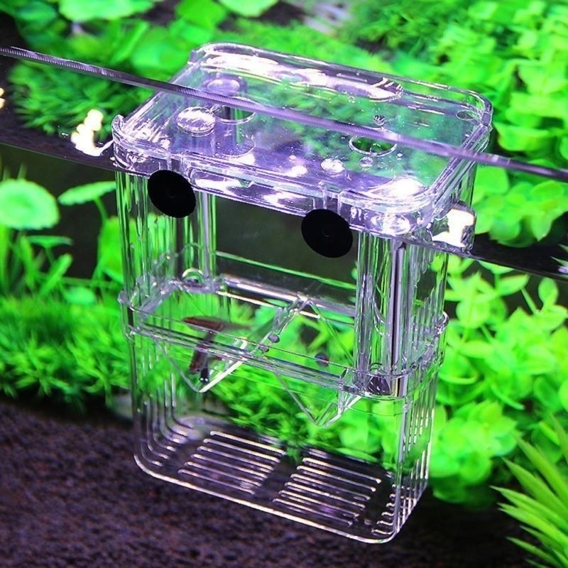 กล่องเพาะพันธุ์ปลาแบบสองชั้นพิ - Aquarium Fish In Bowl บทวิจารณ์และราคา