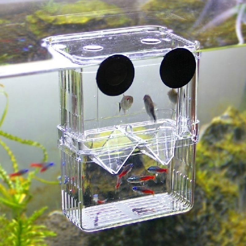 กล่องเพาะพันธุ์ปลาแบบสองชั้นพิ - Aquarium Fish In Bowl บทวิจารณ์และราคา