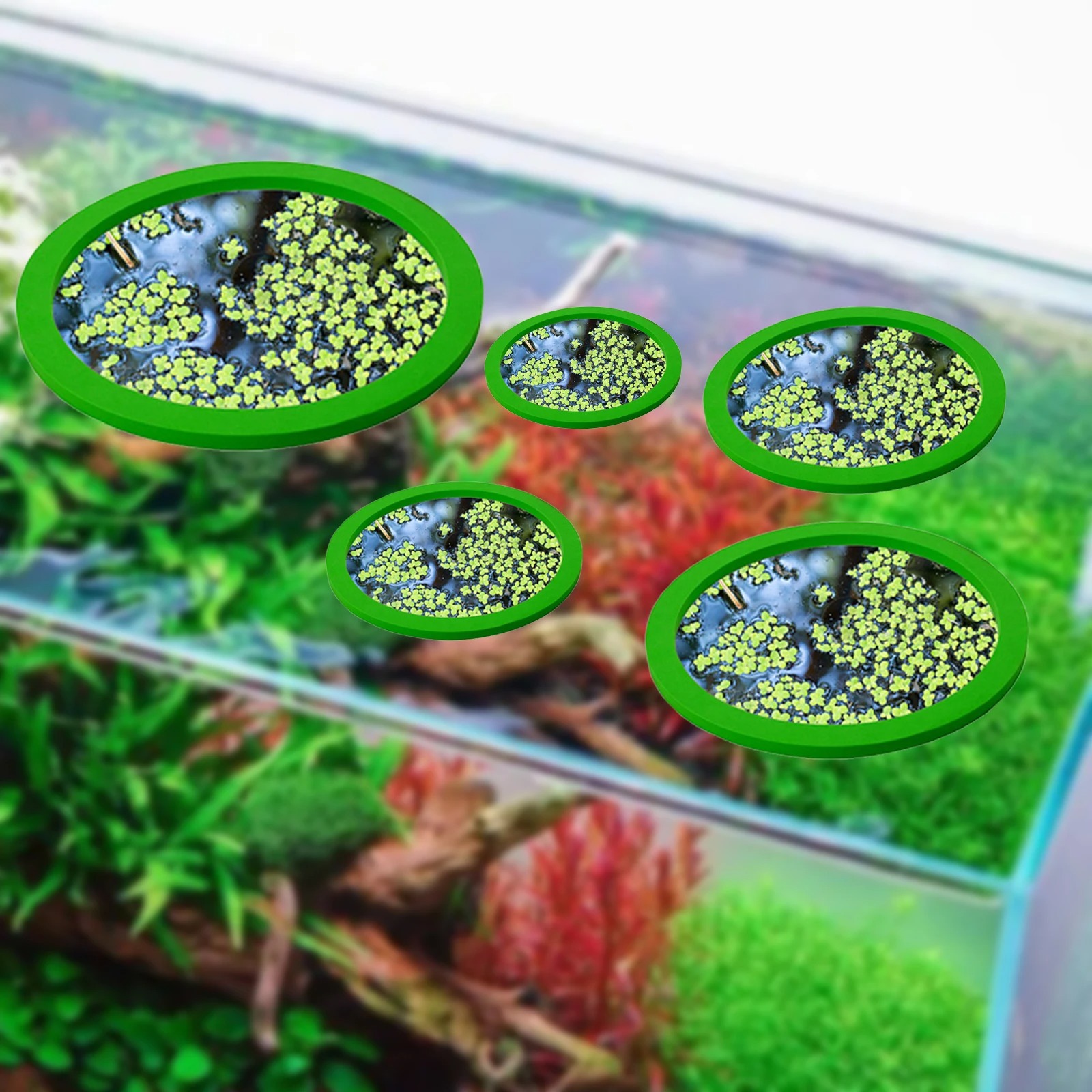 5 ชิ้น EVA ปลา Feeding แหวน Aq - Aquarium Fish Photography บทวิจารณ์และราคา