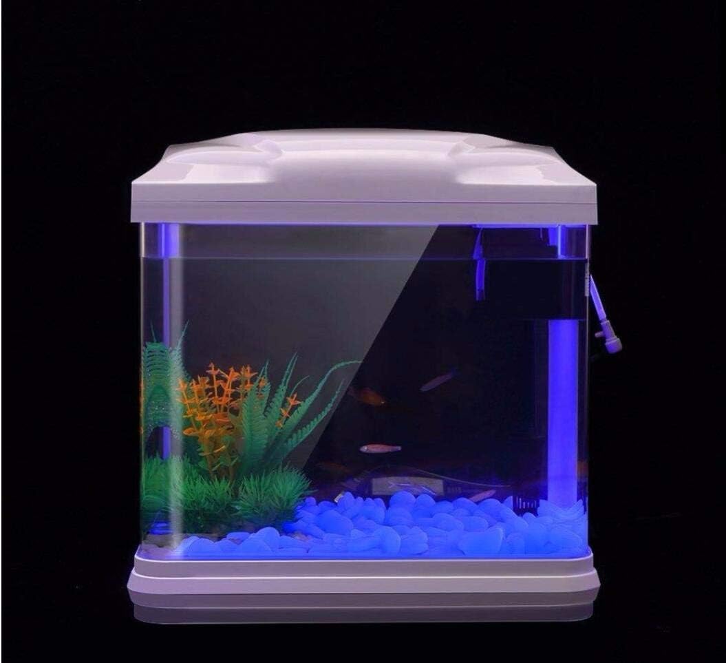 ถังปลา Rocks Glow Blue Pebbles - Aquarium Fish Photography บทวิจารณ์และราคา