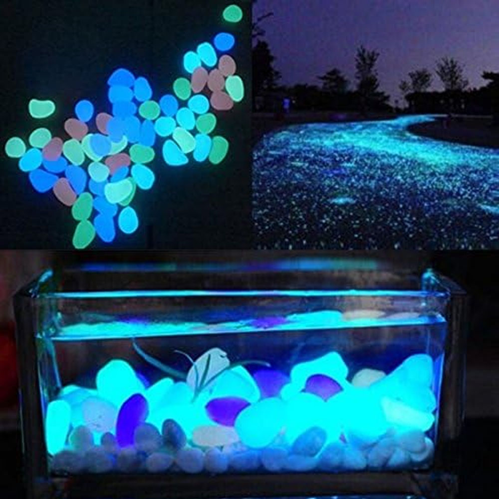 ถังปลา Rocks Glow Blue Pebbles - Aquarium Fish Photography บทวิจารณ์และราคา