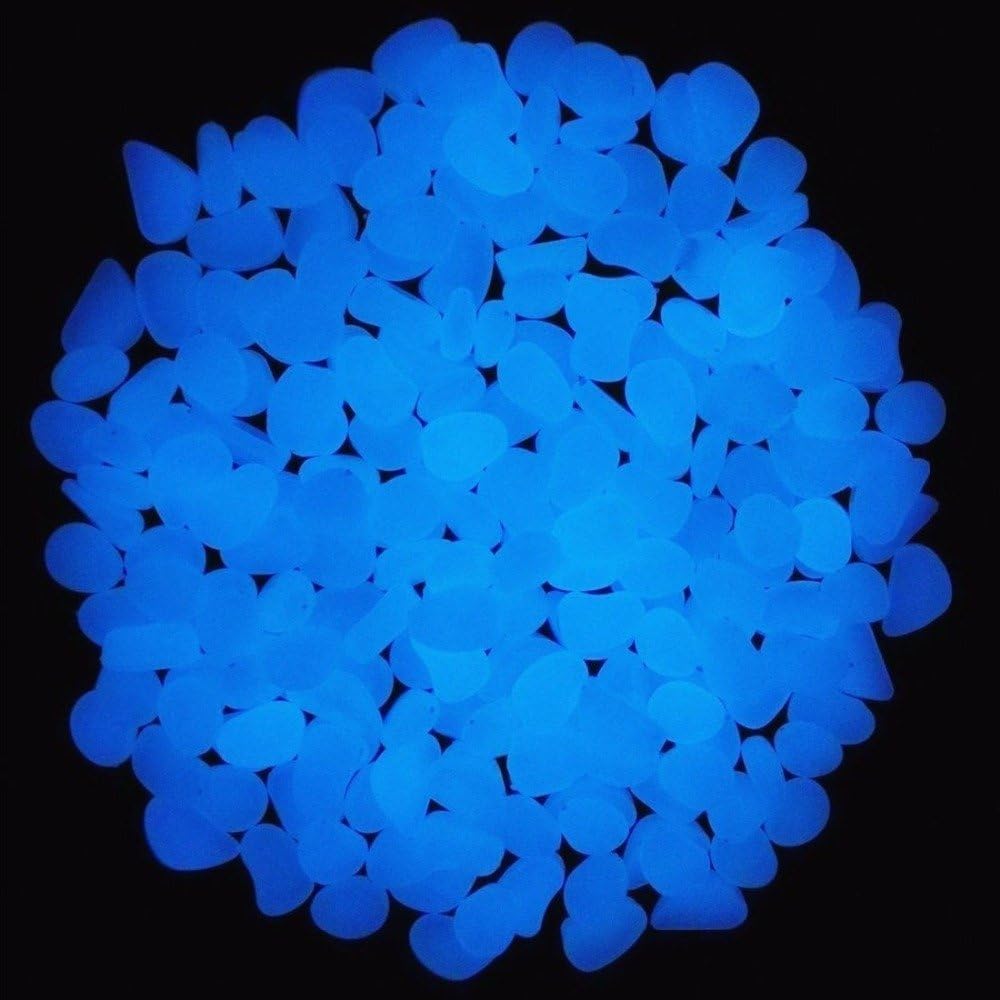 ถังปลา Rocks Glow Blue Pebbles - Aquarium Fish Photography บทวิจารณ์และราคา