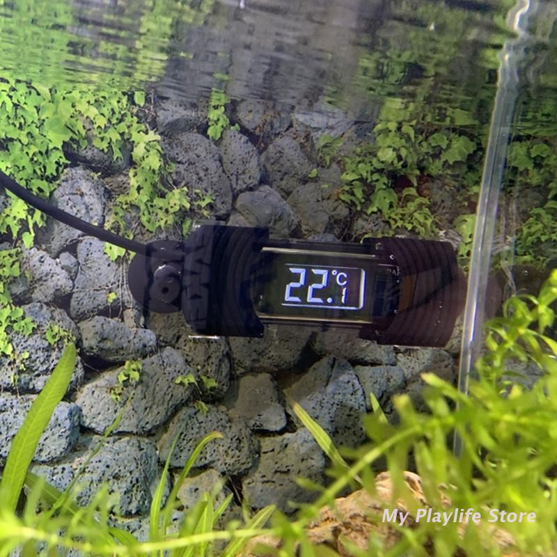เครื่องวัดอุณหภูมิ Aquarium Di - Aquarium Fish Freshwater บทวิจารณ์และราคา