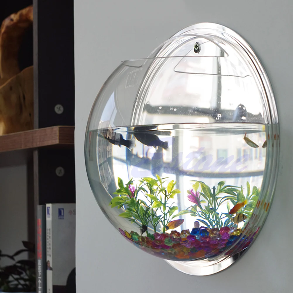 หม้อแขวนผนัง Mount Bubble Aqua - Aquarium Fish In Bowl บทวิจารณ์และราคา