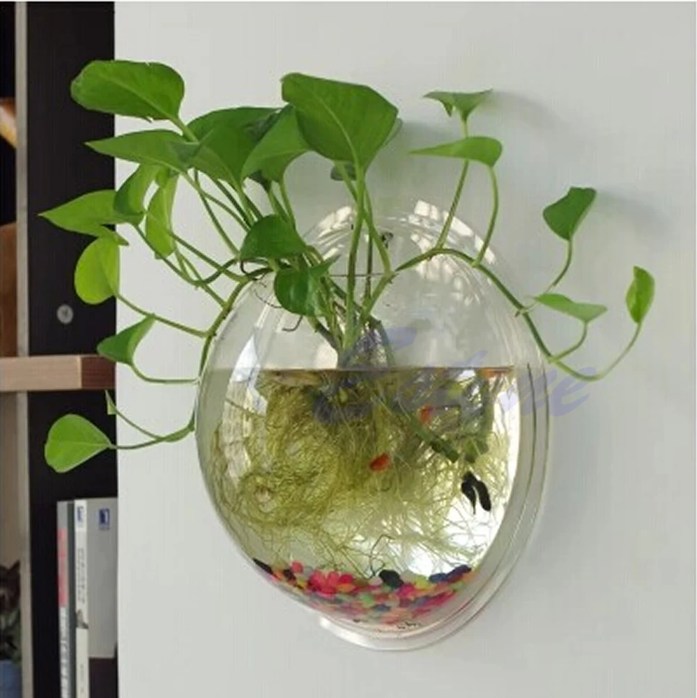 หม้อแขวนผนัง Mount Bubble Aqua - Aquarium Fish In Bowl บทวิจารณ์และราคา