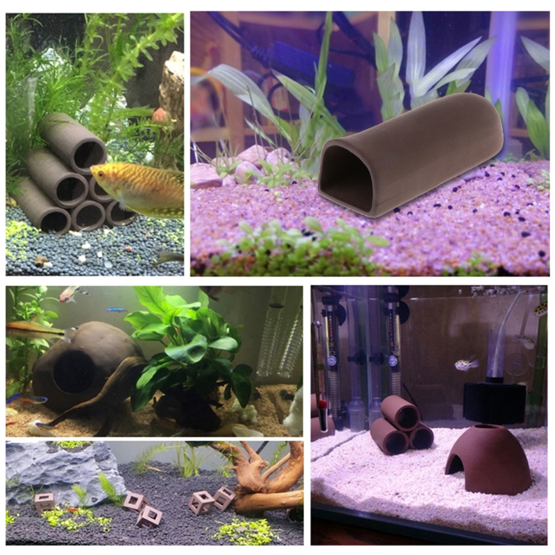 ตกแต่งพิพิธภัณฑ์สัตว์น้ำ Rock  - Aquarium Fish Marine บทวิจารณ์และราคา