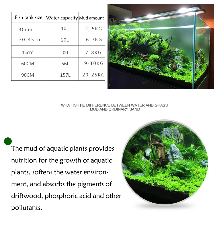 พิพิธภัณฑ์สัตว์น้ำเมล็ดพืชดิน  - Aquarium Fish Photography บทวิจารณ์และราคา
