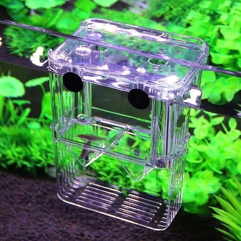 ตู้ปลาอเนกประสงค์ ตู้เพาะพันธุ - Aquarium Fish In Bowl บทวิจารณ์และราคา
