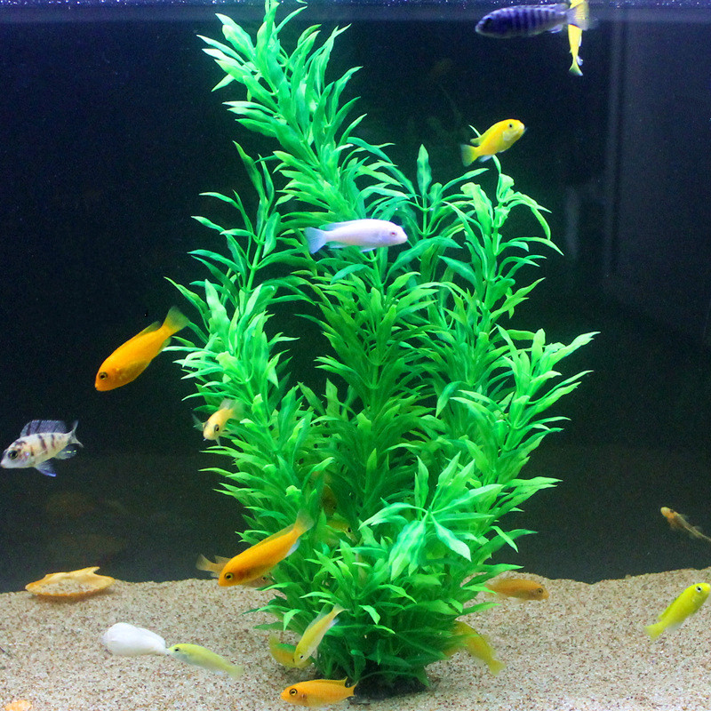 50 ซม.ถังปลาประดิษฐ์พืชหายากAq - Aquarium Fish Photography บทวิจารณ์และราคา