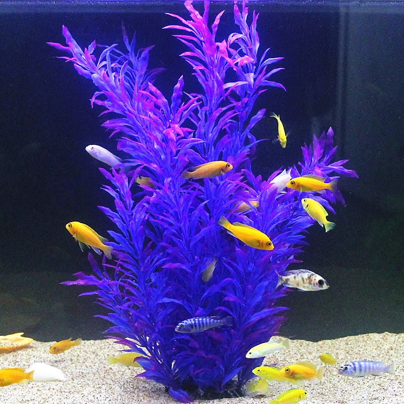 50 ซม.ถังปลาประดิษฐ์พืชหายากAq - Aquarium Fish Photography บทวิจารณ์และราคา
