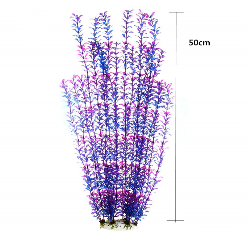 50 ซม.ถังปลาประดิษฐ์พืชหายากAq - Aquarium Fish Photography บทวิจารณ์และราคา