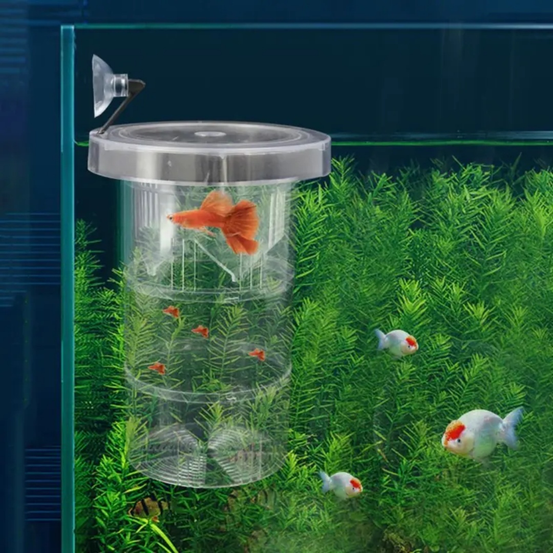 กล่องอะคริลิคสำหรับเพาะพันธุ์ป - Aquarium Fish Marine บทวิจารณ์และราคา