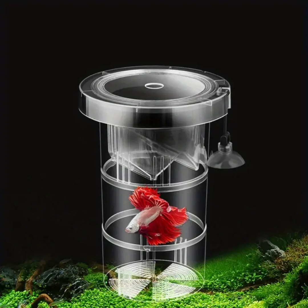 กล่องอะคริลิคสำหรับเพาะพันธุ์ป - Aquarium Fish Marine บทวิจารณ์และราคา