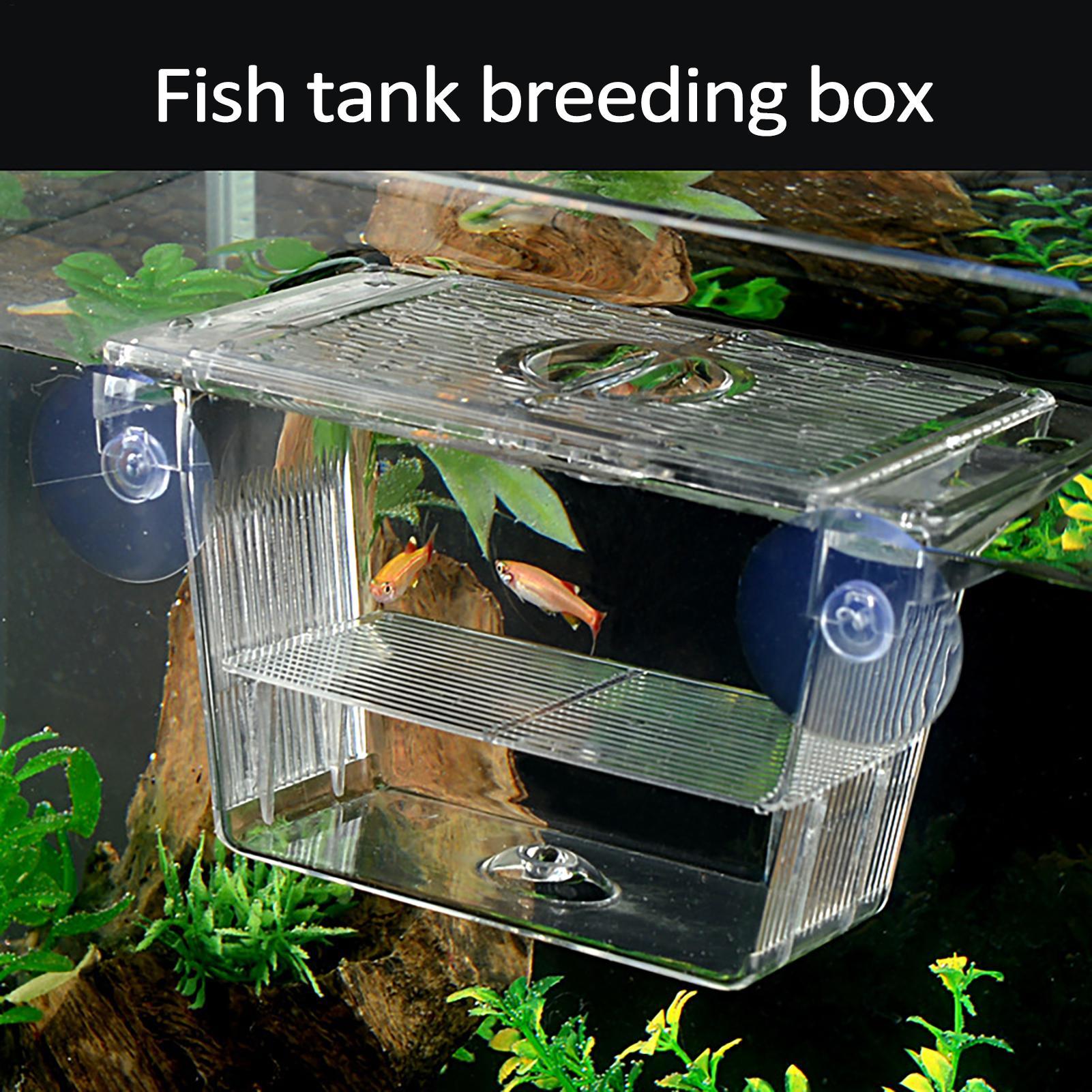 กล่องเพาะพันธุ์ปลาสำหรับตู้ปลา - Aquarium Fish In Bowl บทวิจารณ์และราคา