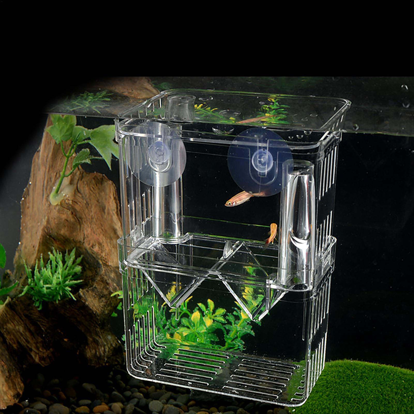 กล่องเพาะพันธุ์ปลาสำหรับตู้ปลา - Aquarium Fish In Bowl บทวิจารณ์และราคา