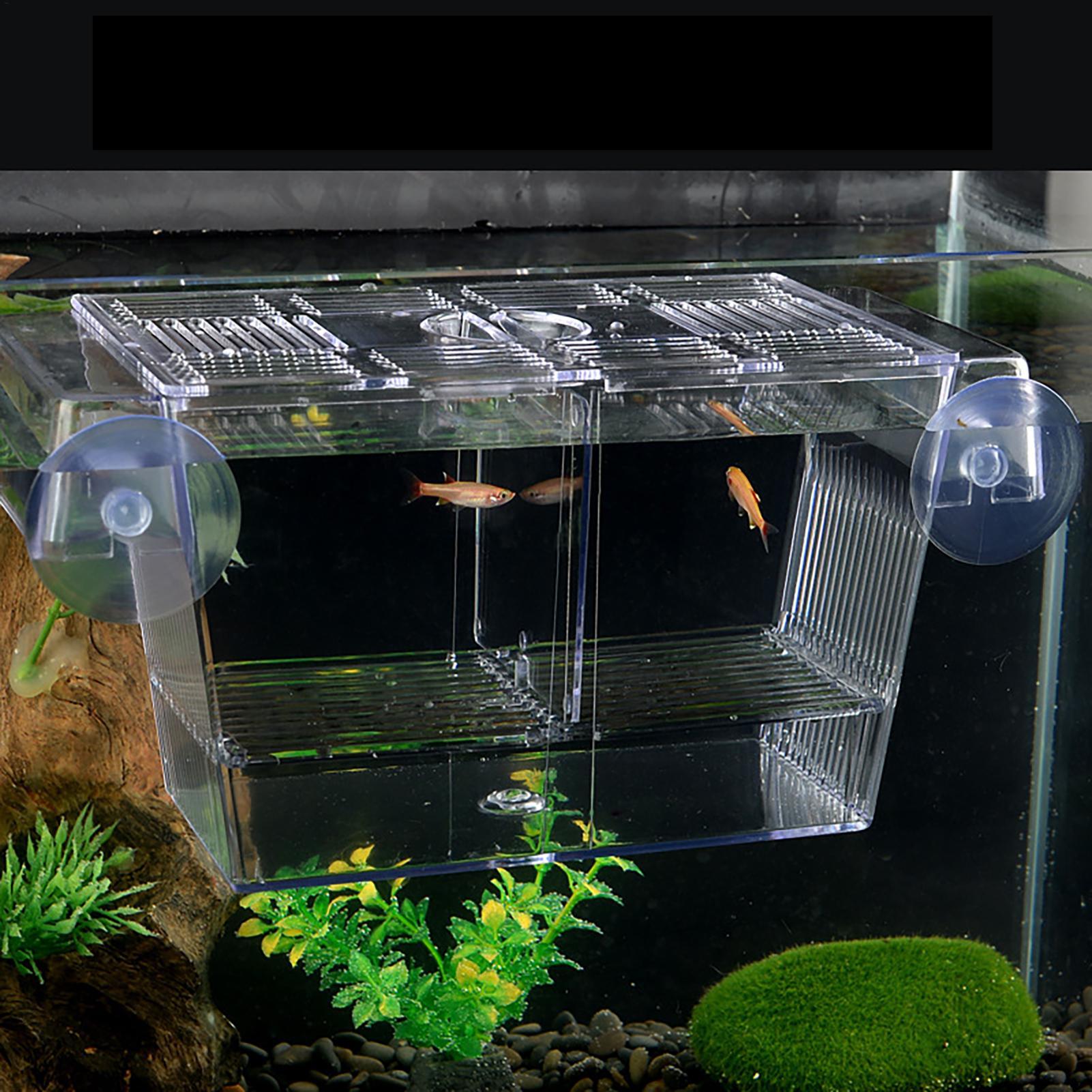 กล่องเพาะพันธุ์ปลาสำหรับตู้ปลา - Aquarium Fish In Bowl บทวิจารณ์และราคา