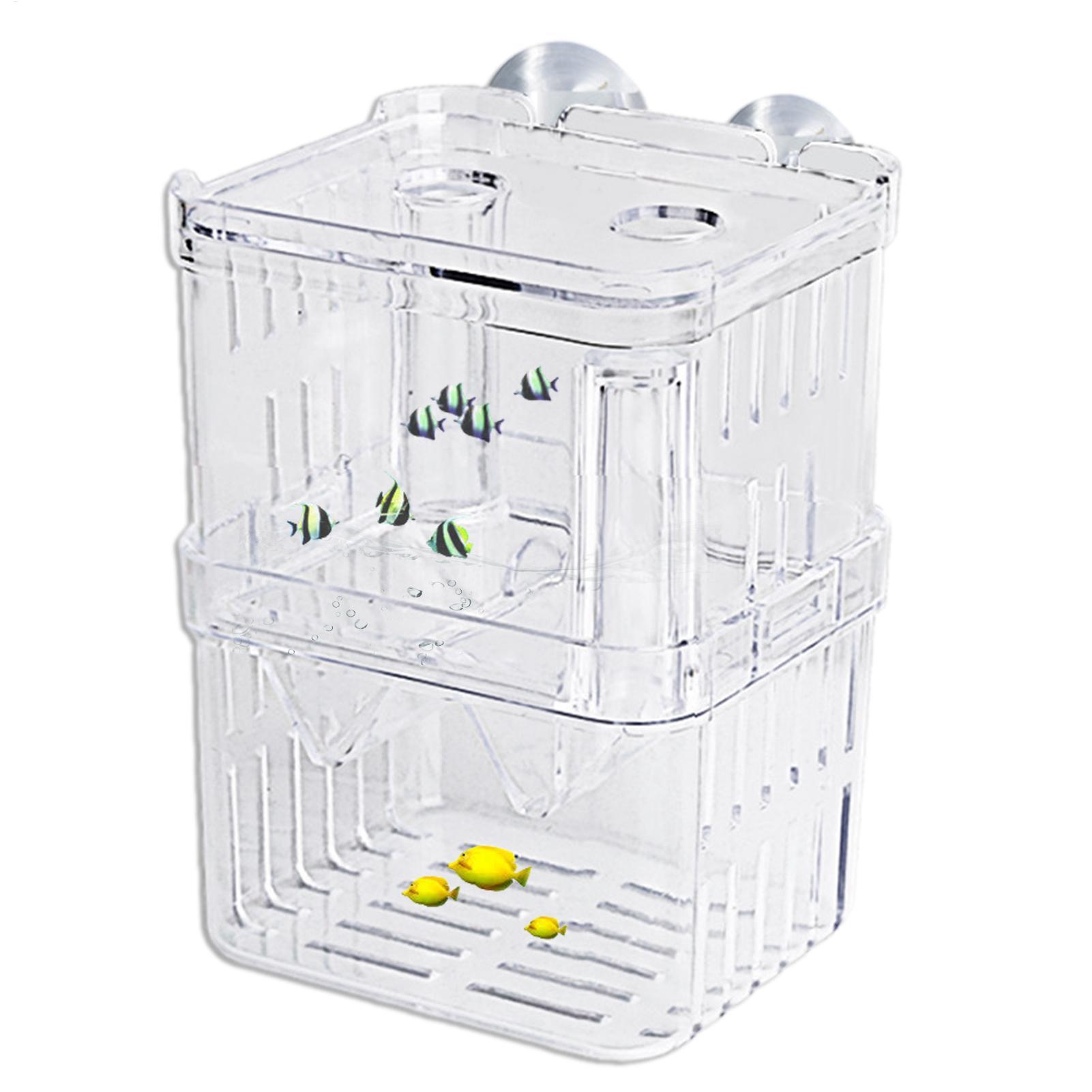 กล่องเพาะพันธุ์ปลาสำหรับตู้ปลา - Aquarium Fish In Bowl บทวิจารณ์และราคา